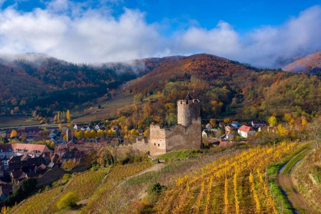 Superbe Au Centre De Avec 3 * Kaysersberg-Vignoble